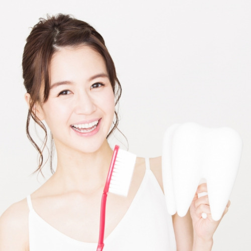 歯の模型を持って微笑む女性